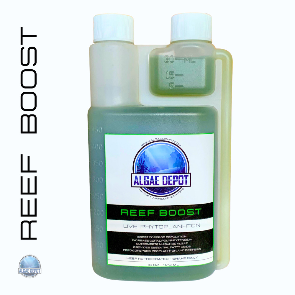 LIVE Phytoplankton - REEF-BOOST® 4-Species  - 16 oz Bottle - FAST 