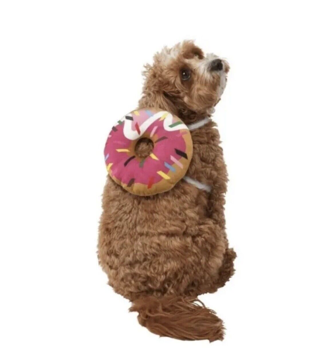 Rubies Pet Shop Boutique Dog Donut Costume Size S/M Halloween Parades Dress Up