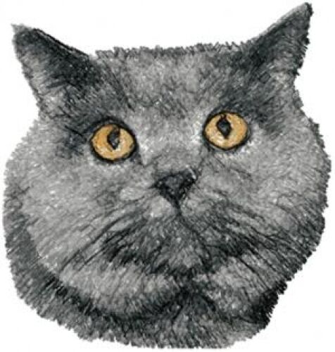 Embroidered Short-Sleeved T-Shirt - British Shorthair Cat AED16247 Sizes S - XXL
