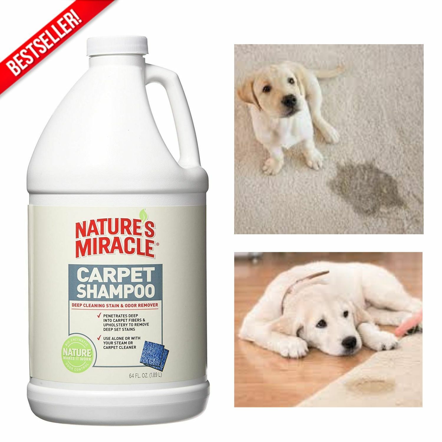 Carpet Rug Shampoo Deep Cleaner Pet Urine Stain Permanent Odor Eliminator 64 Oz