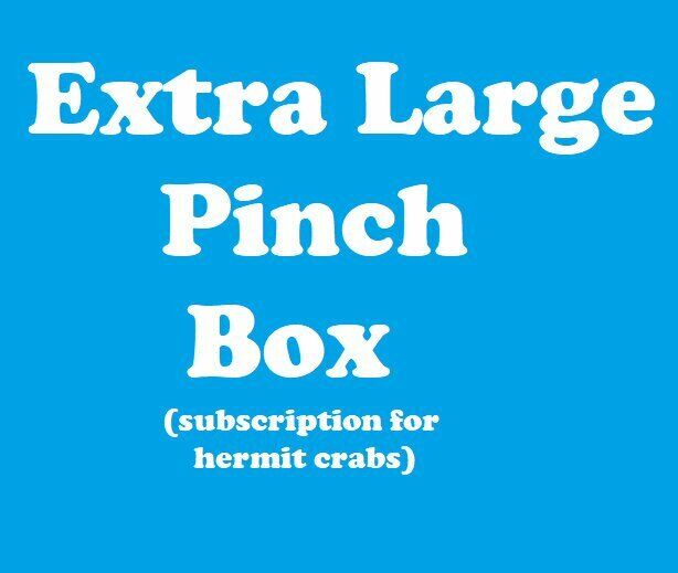 EXTRA LARGE Pinch Box - Monthly Hermit Crab Food Box