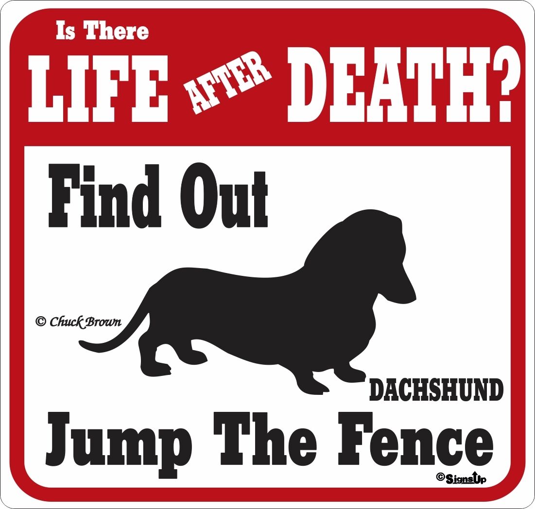 Dachshund Life After Death Funny Warning Dog Sign 