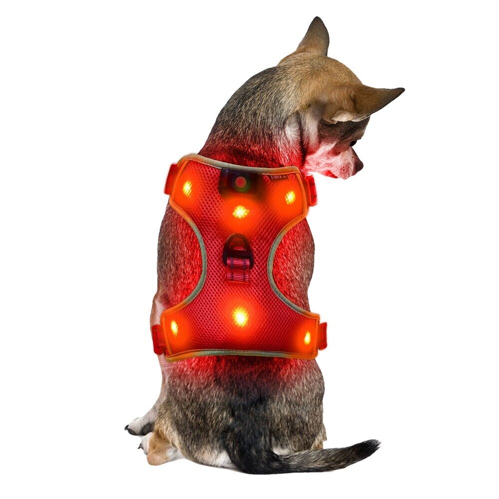 New Small Red LED Dog Harness Light Up Adjustable Flashing Safety Belt Collar