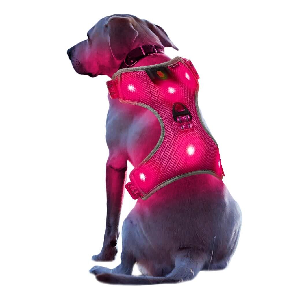 New Large Pink LED Dog Harness Light Up Adjustable Flashing Safety Belt Collar