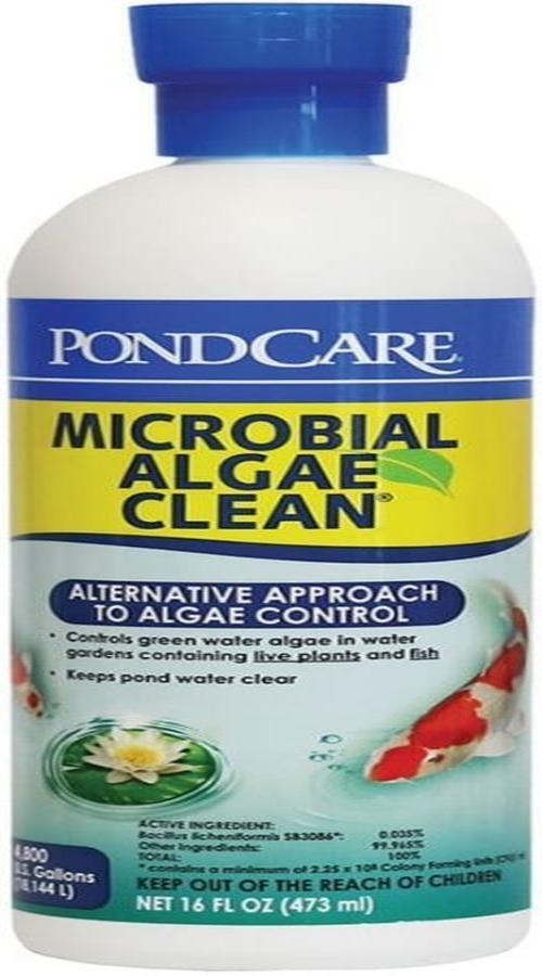 PondCare Microbial Algae Clean 269B