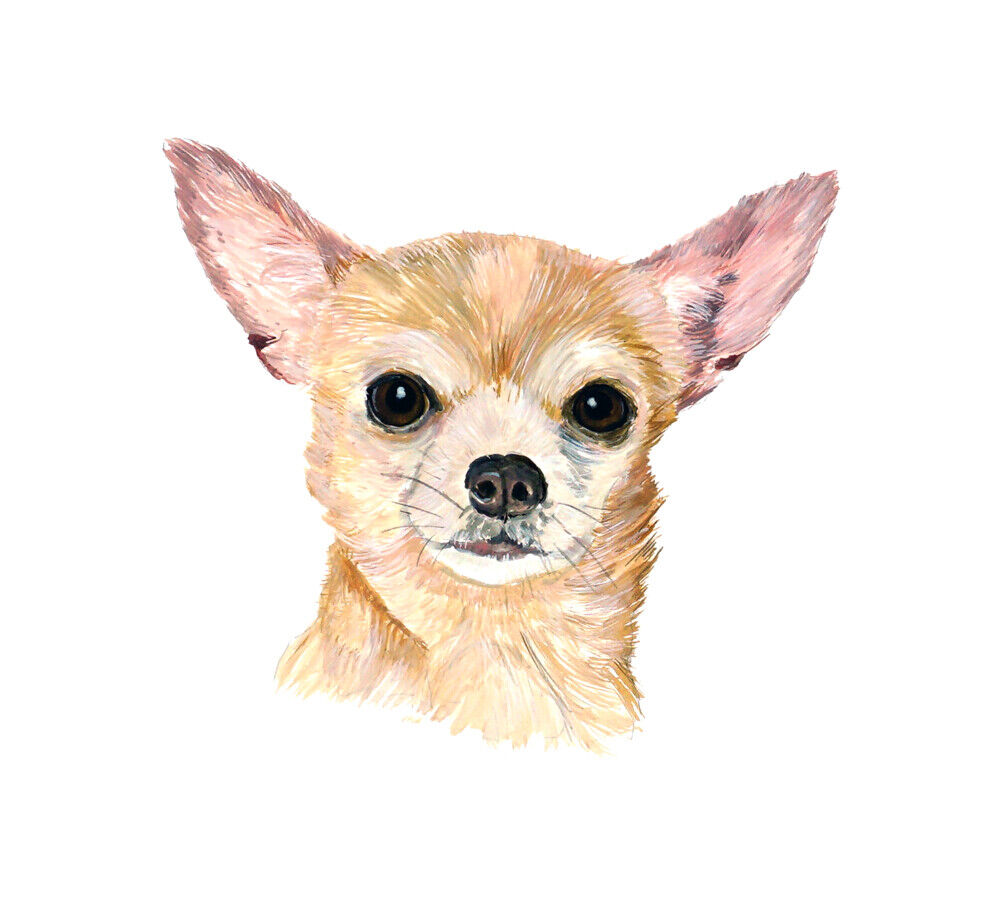 Chihuahua Dog Lover Cream Fawn Short Haired Auto Boat Rv Vinyl Decal Sticker Art