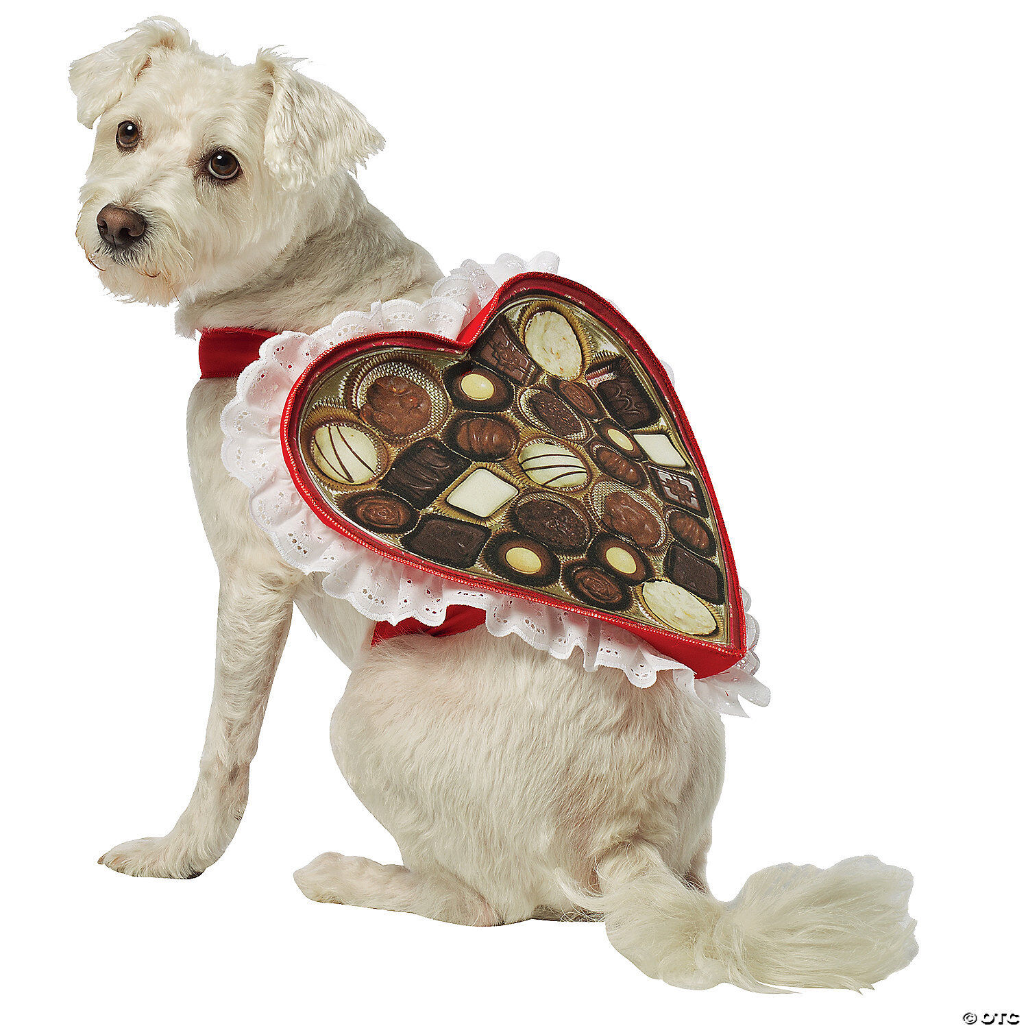 Chocolate Box Dog Costume Costume Pet Valentines Day Fancy Dress