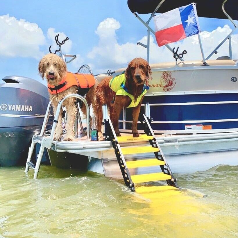 WAG Dog Boarding Steps for Pontoon Boats (vs. Ladders/Ramps/Platforms)