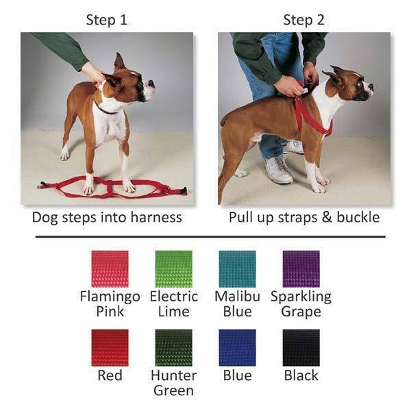 Assorted Color Dog Harness Bulk Pack Shelter Vet Rescue Choose Size & Quantity