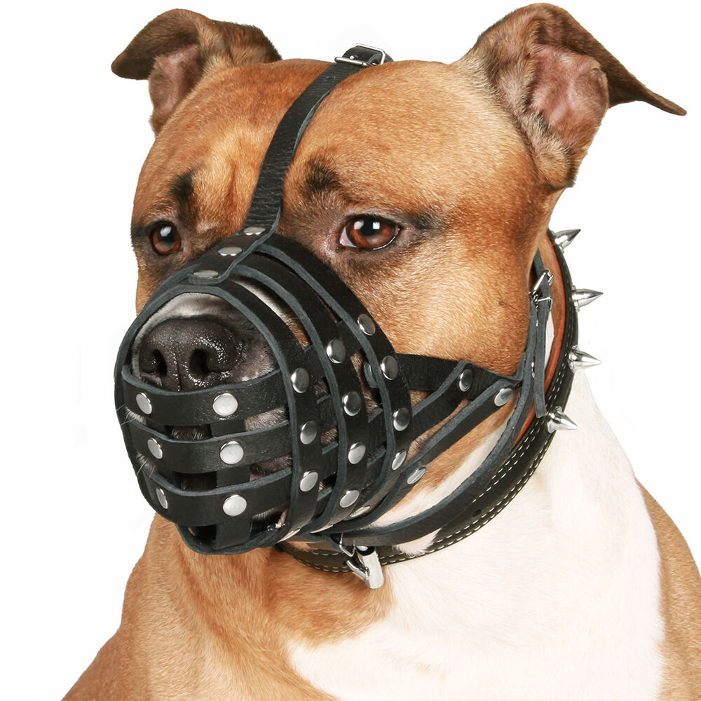 PitBull Dog Muzzle Leather AmStaff Muzzles Staffordshire Terrier Secure Basket 