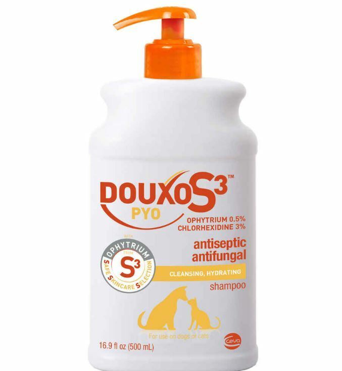 Douxo Chlorhexidine PS Pet Shampoo with Climbazole Made in USA