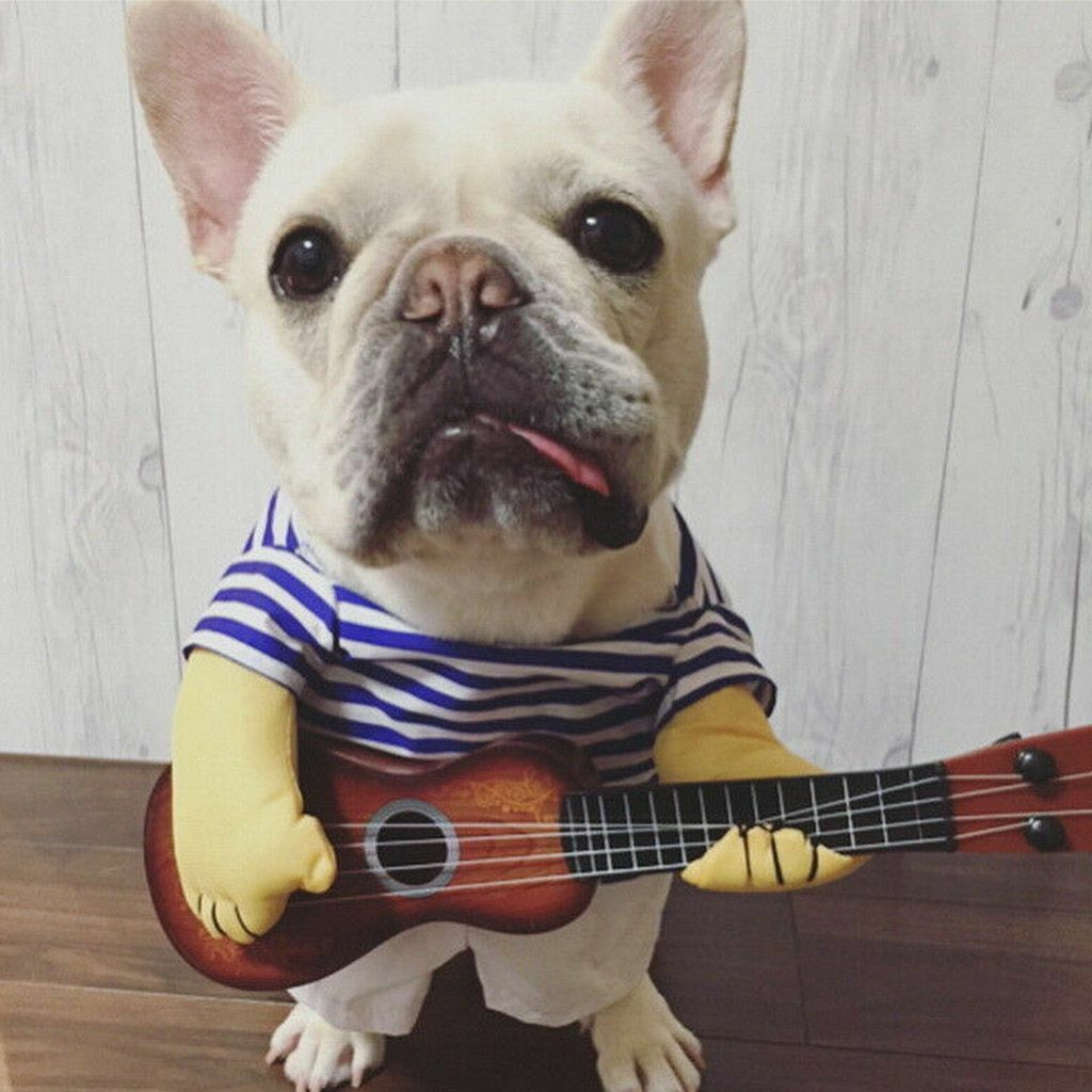 Funny Pet Clothes Guitar Player Costume Cute Dog Cat Party Cosplay Dress S-XL