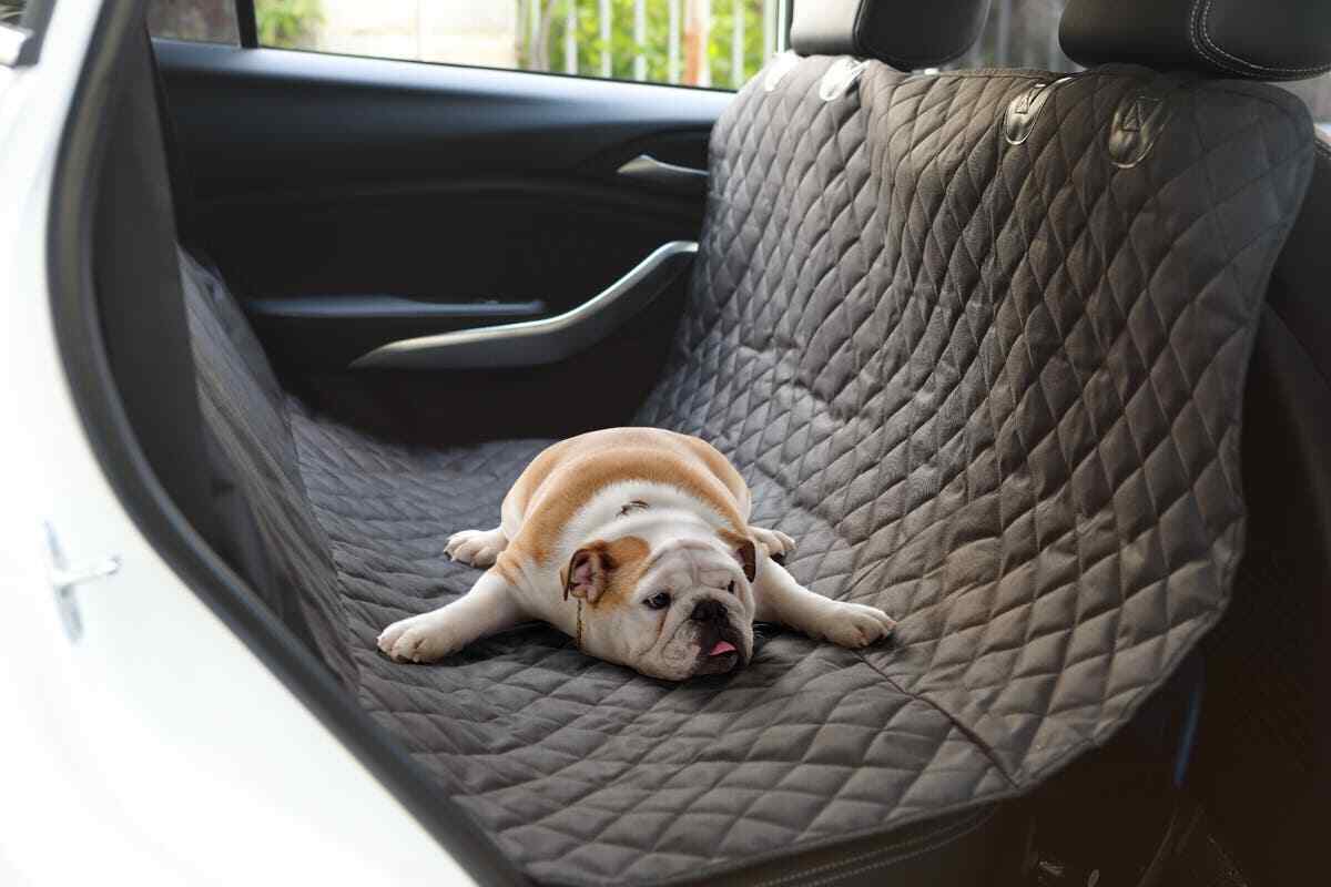 NNEKG Pets Premium Portable Non Slip Waterproof Car Seat Protector