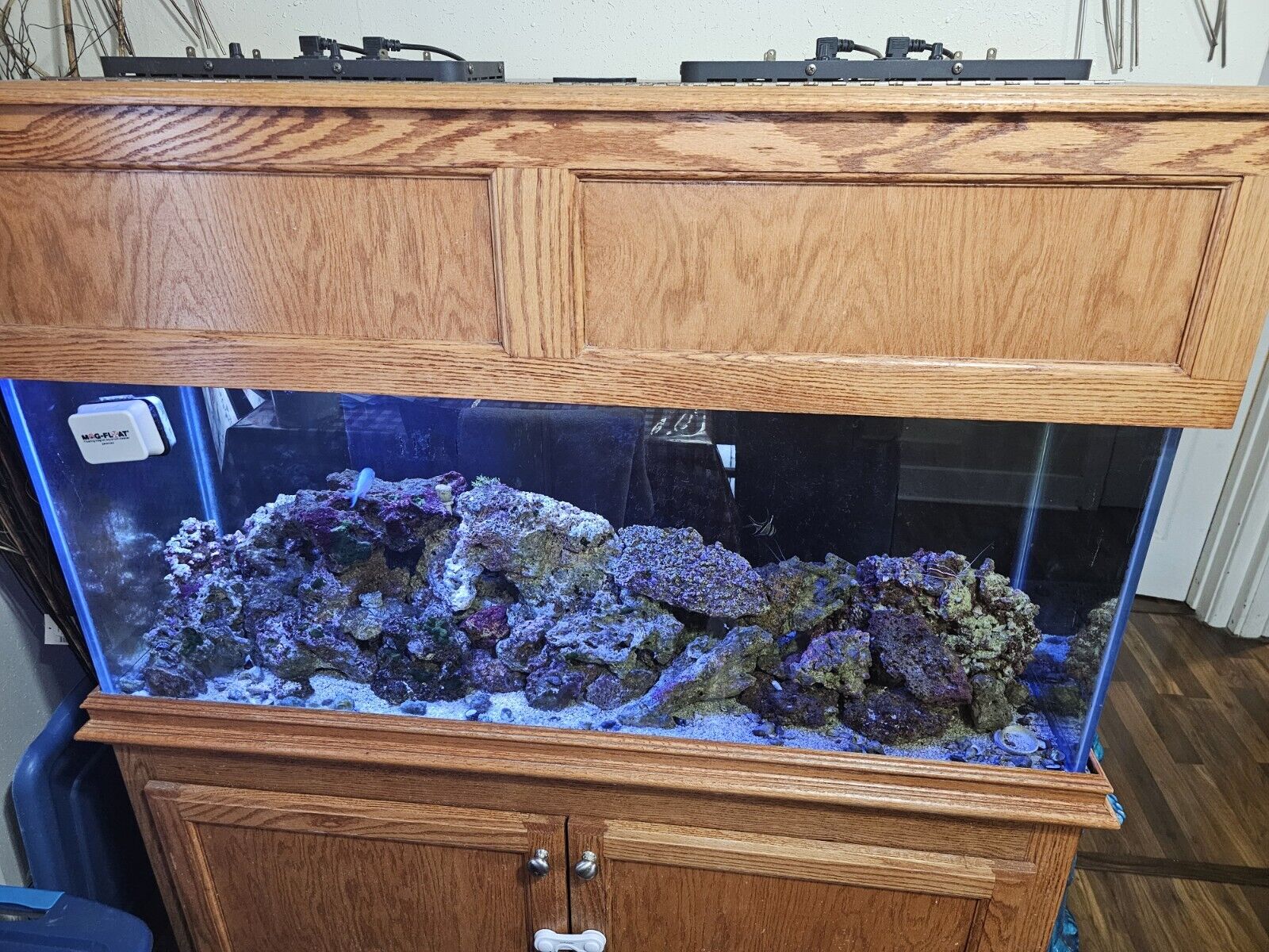 75 gallon Salt Water Aquarium, stand, hood. Live Rock and New Lights Included.  
