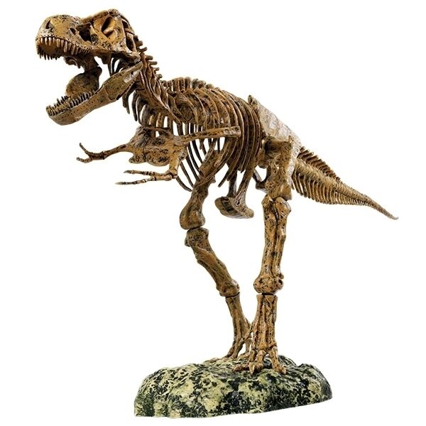 Animal Planet Giant Tyrannosaurus Rex Trex T-Rex Skeleton 1 metre long 51 pieces