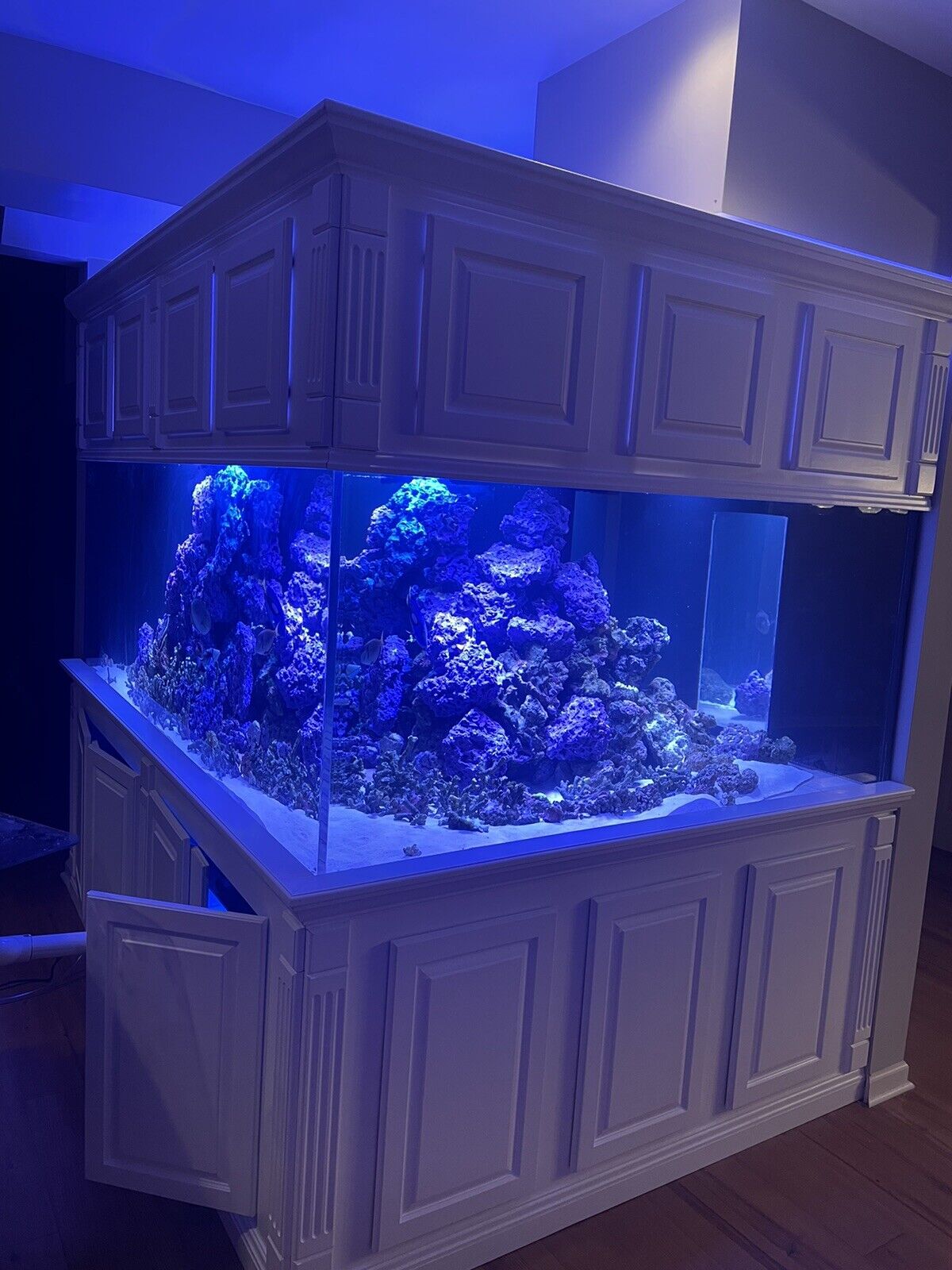 300+ Aquarium and stand Custom Build, Read Description