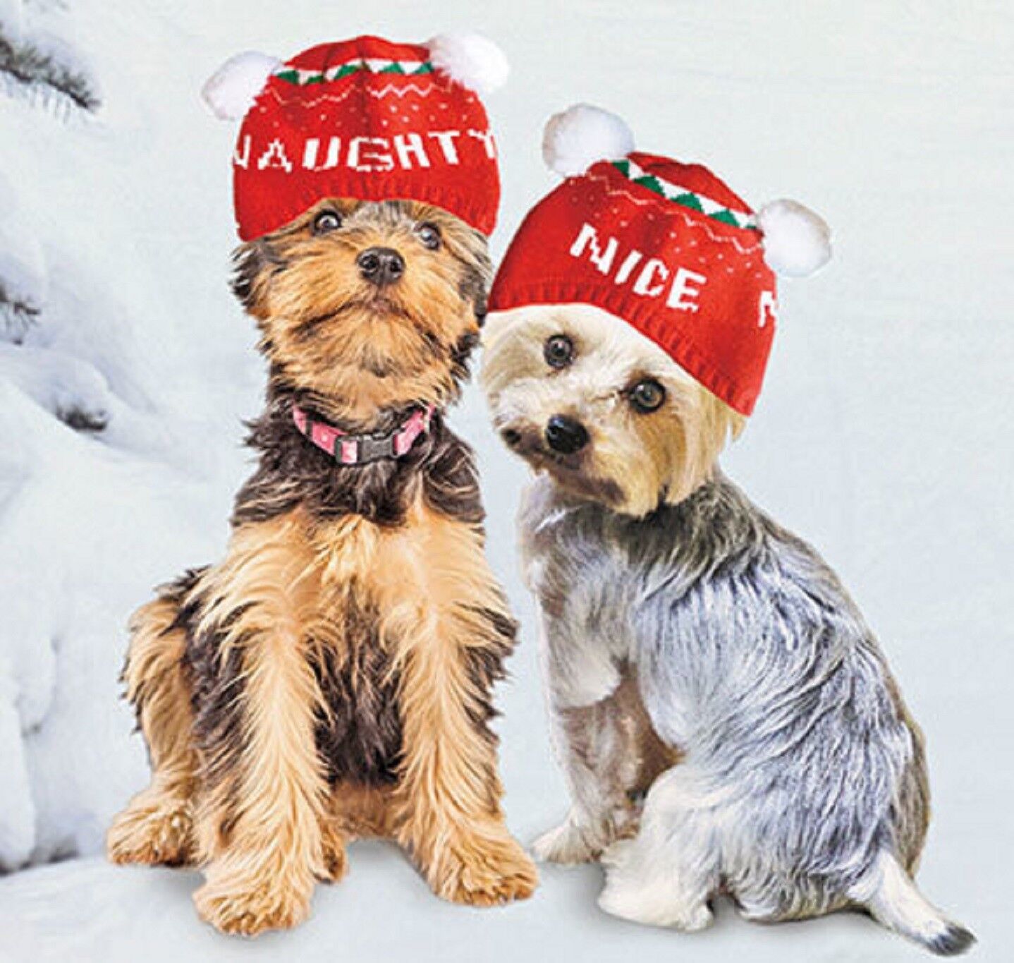 Dog Hat Winter Naughty Nice Cute Hat  Snug  Knitted Lovable Hat for Winter New