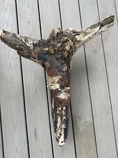 Unique, all natural, raw driftwood Longhorn head. 28Lx20Wx10H. 9lbs Decor, Wood  picture