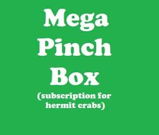MEGA Pinch Box - Monthly Hermit Crab Food Box picture