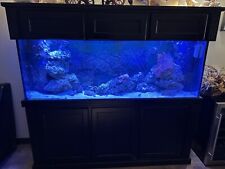 150 Gallon Salt Water Fish Tank Complete With Caninet, Lights, Pumps And Skimmer picture