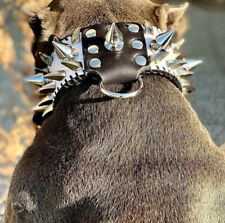 Spiked Dog Collar Leather Silver Studded Rivet Small And Big Breeds Adjustable picture