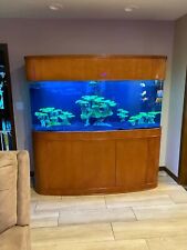 WARRANTY INCLUDED 300 gallon GLASS bow front aquarium fish tank set picture