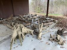 120 Piece Bulk Driftwood Lot Natural Wood Aquarium Landscape Art picture