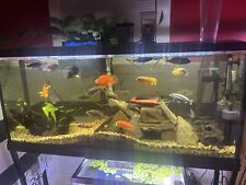 live fish/plants freshwater picture
