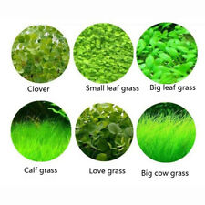 Aquarium Plant Seeds Fish Tank Aquatic Water Grass Foreground Easy Plants 5g picture