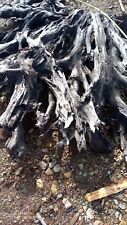 Extra large driftwood, raw kentucky , 9ft. Gray  picture