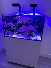 Red Sea Reefer 69G Marine Fish Tank w Lights Coral Rock Fish Clam Anenomes SEE picture