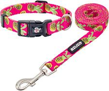 azuza Dog Collar and Leash S (Neck: 11"-16"), C#Fruit Pineapple  picture