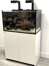 Aquarium Red Sea 69G Salt Water Fish Tank w Lights Coral Rock Fish Clam Anenomes picture