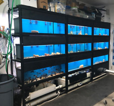 270 Gal Commercial Marineland Vertical Aquarium Fish Tank Bio-wheel picture
