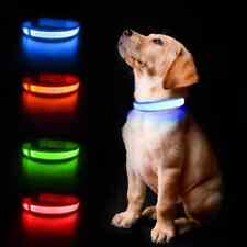 LED Dog Collars Flashing Light Up Dog Collar Rechargeable and Safety Night Glow picture