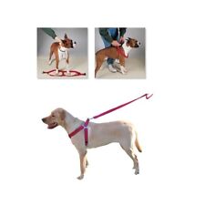 100 Pack Dog Harnesses Bulk Wholesale Assorted Colors Vet Rescue Shelter Safety picture