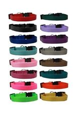 Nylon Dog Collar Bulk Packs Assorted Colors Choose Size & Amount Rescue Shelter picture