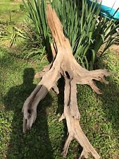 Extra Large Driftwood Root/Stump picture