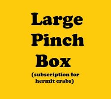 LARGE Pinch Box - Monthly Hermit Crab Food Box picture
