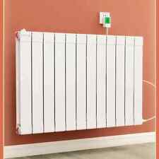 Water Heater for Mobile Circulating Water Electric Radiator Electric Sheet  picture
