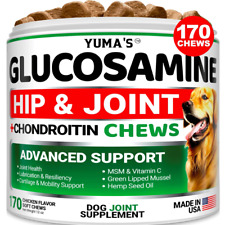Glucosamine for Dogs Hip and Joint Supplement for Dogs 170 Ct Chews Pain Relief picture