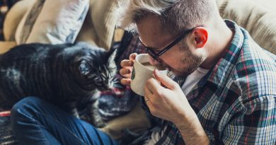 Three Simple Steps for Correcting Your Cat's Bad Behavior
