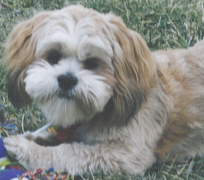 Profile picture of lori
