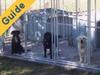 Guide: Choosing a Boarding Kennel for Your Dog