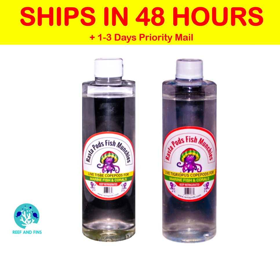 2 Bottles of Live Tisbe and Tigriopus Copepods. FREE QUIK SHIPPING