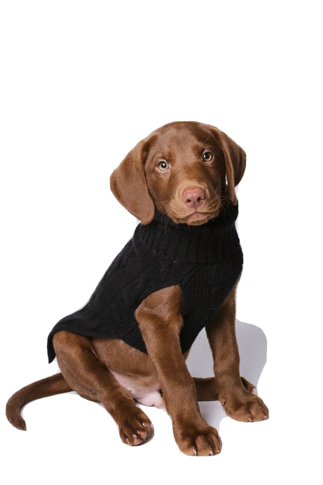 NEW Ralph Lauren Dog Cashmere Sweater XXXL, Black, Turtleneck