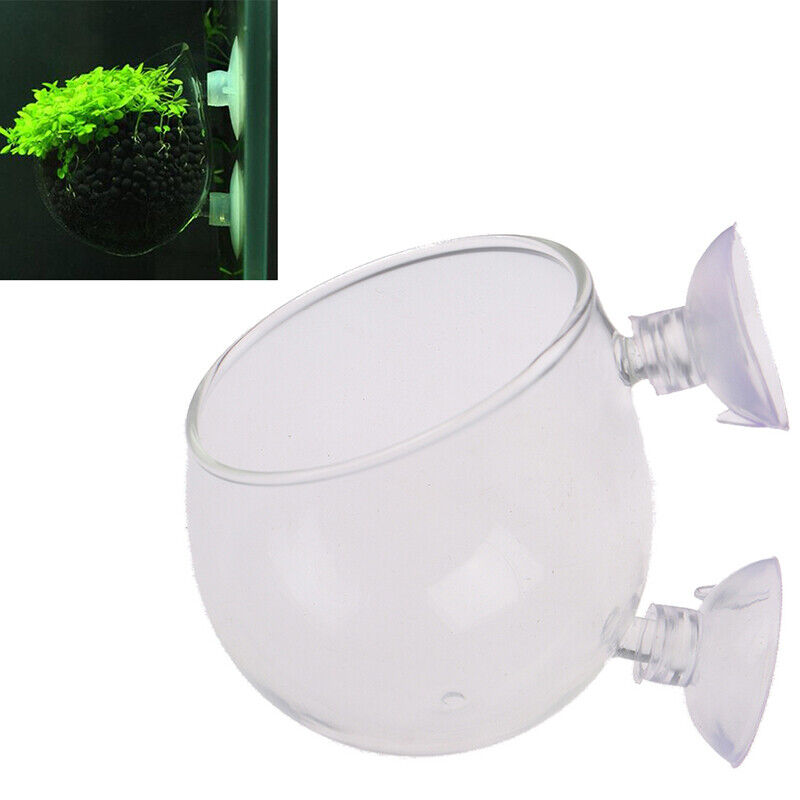 Fish Tank Mini Crystal Glass Pot Water Potted Aquatic Planting Cylinder Cup C P2