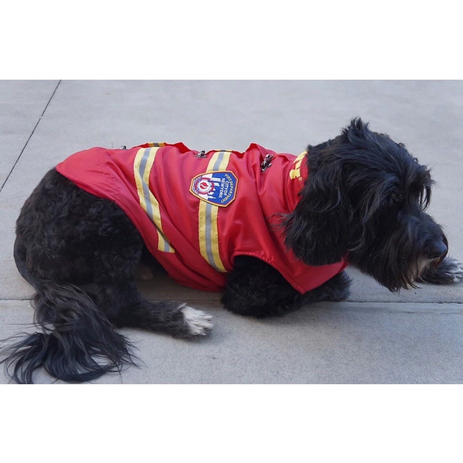 NEW FDNY Red Dog Jacket Fire Fighter Bunker Coat Jacket NEW Large