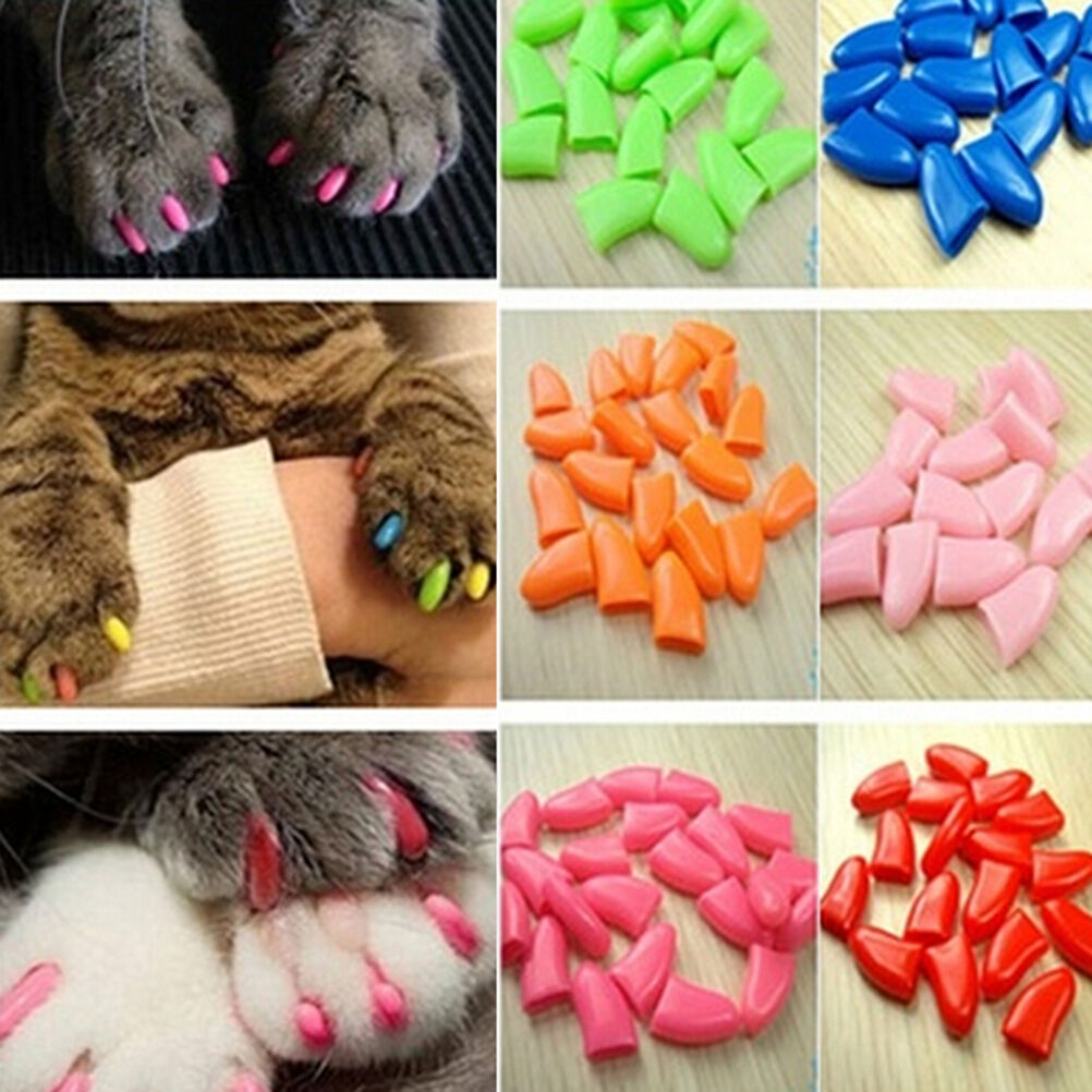 New 20pcs Soft Cat Pet Nail Caps Claw Control Paws off +Adhesive Glue SizeP HN