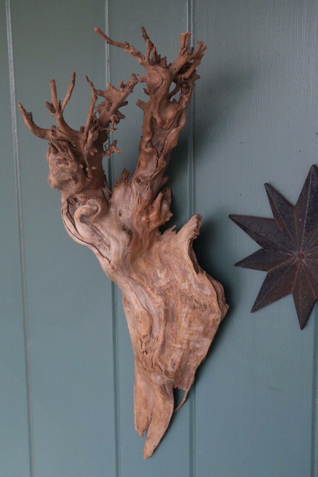25” LARGE Natural Organic Driftwood HANGING Decoration BOHO CHIC Plant Art